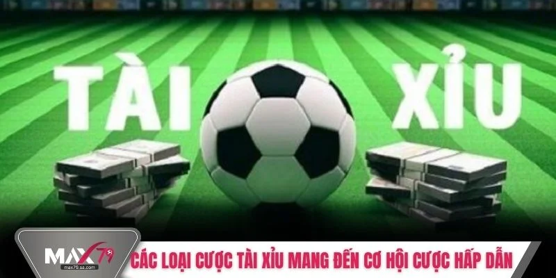 Các loại cược tài xỉu mang đến cơ hội cược hấp dẫn