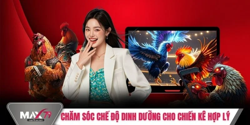 Chăm sóc chế độ dinh dưỡng cho chiến kê hợp lý