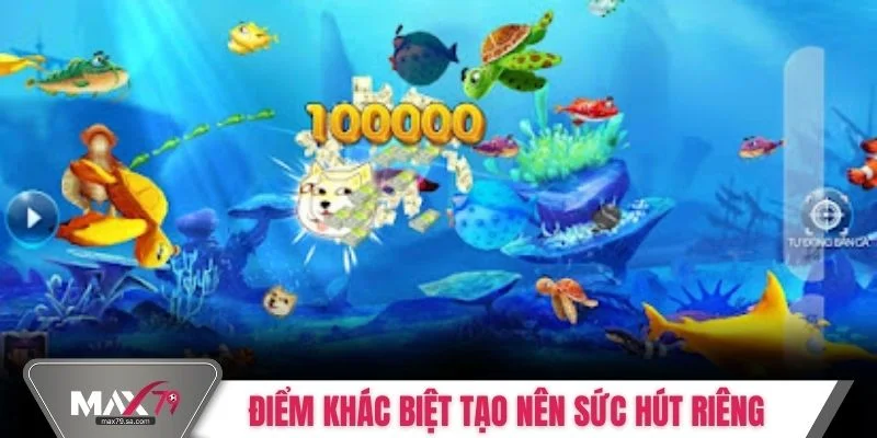 Điểm khác biệt tạo nên sức hút riêng